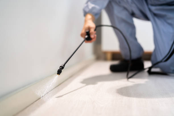 Licensed Pest Control service in South San Francisco, CA - Show Me Pest Control